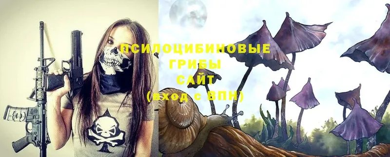 Псилоцибиновые грибы Psilocybe Сатка